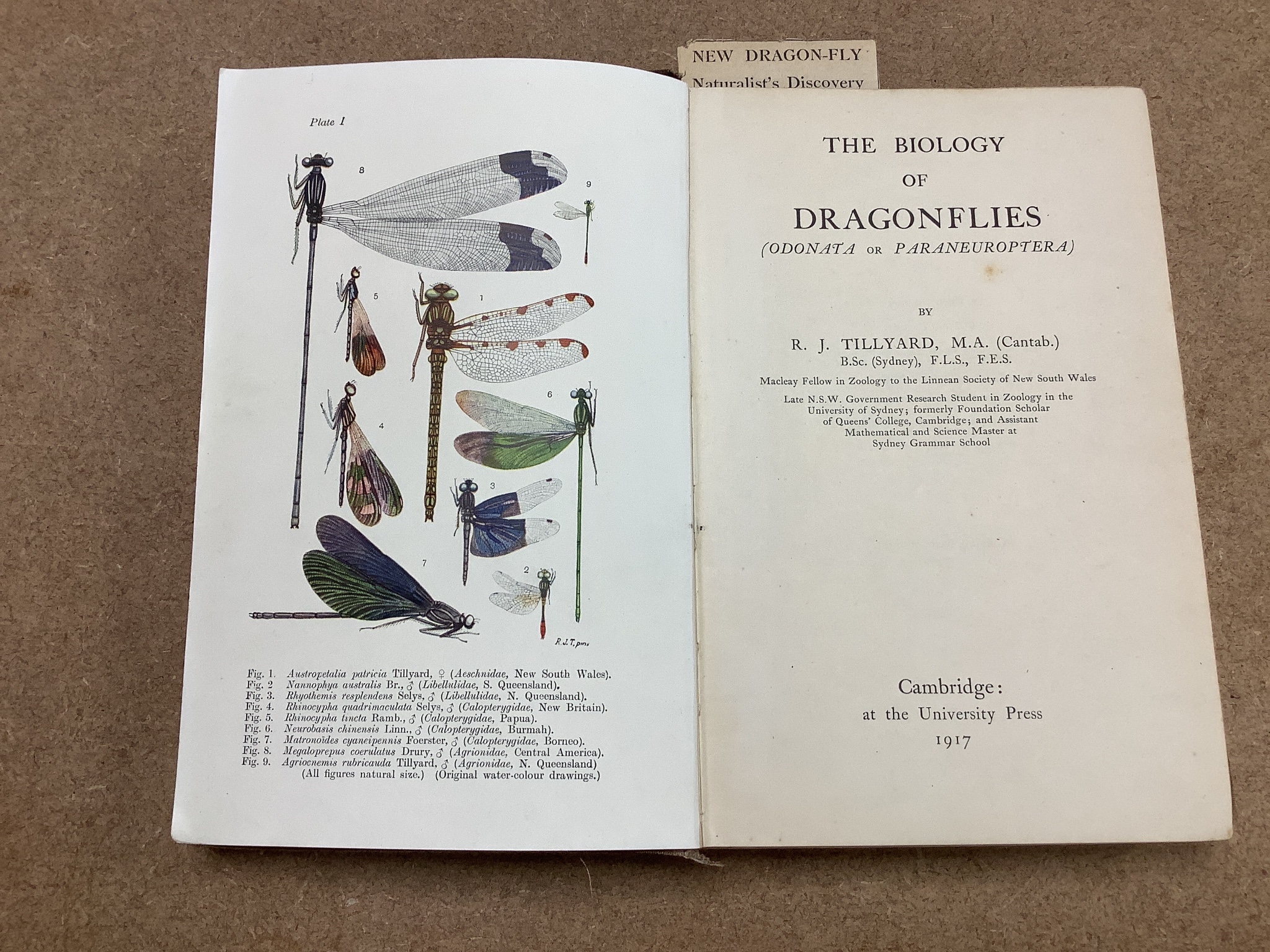 Lucas, William, John - British Dragonflies: (Odonata), 8vo, cloth, L. Upcott Gill, London, 1900 and Tillyard, Robert, John - The Biology of Dragonflies, 8vo, cloth, scuffed, spines bumped, Cambridge University Press, 191